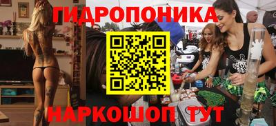 стафф Донской