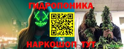стафф Донской
