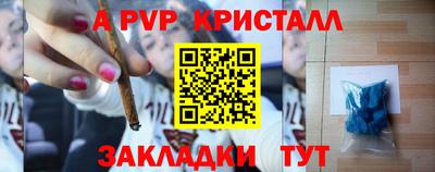 стафф Донской
