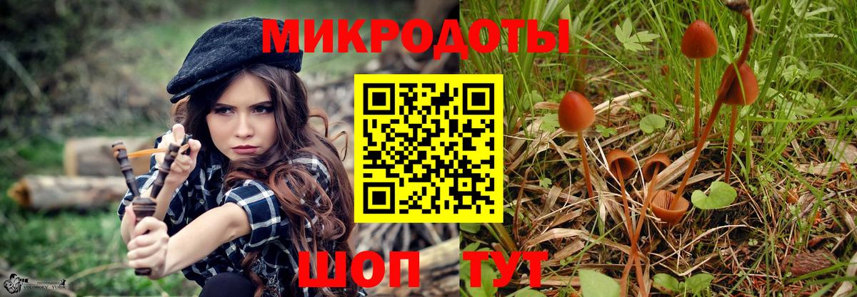 Галлюциногенные грибы Psilocybe  Вход с VPN  Серпухов 